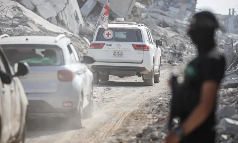 photo_٢٠٢٥-١١-١٠_٠٨-٢٦-٥٠