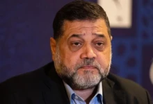 photo_٢٠٢٥-١١-١١_١١-١٠-٤٦