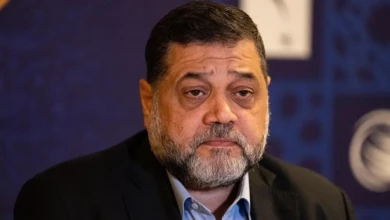 photo_٢٠٢٥-١١-١١_١١-١٠-٤٦