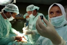 photo_٢٠٢٥-١١-١٣_٠٨-١٥-٥١