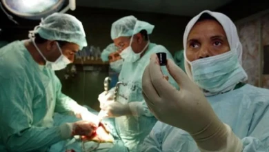 photo_٢٠٢٥-١١-١٣_٠٨-١٥-٥١