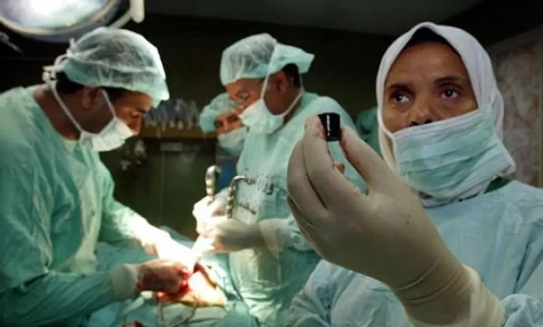 photo_٢٠٢٥-١١-١٣_٠٨-١٥-٥١