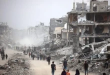 photo_٢٠٢٥-١١-١٥_٢٠-٢٨-٠٥