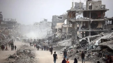 photo_٢٠٢٥-١١-١٥_٢٠-٢٨-٠٥