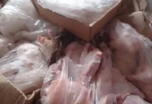 photo_٢٠٢٥-١١-٢٣_١١-١٤-٣٣