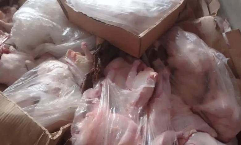 photo_٢٠٢٥-١١-٢٣_١١-١٤-٣٣