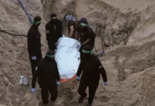 photo_٢٠٢٥-١١-٢٤_١٣-٢٨-٠٠