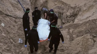 photo_٢٠٢٥-١١-٢٤_١٣-٢٨-٠٠