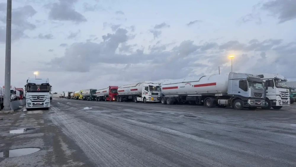 photo_٢٠٢٥-١١-٢٥_١١-٢٥-٤٩ (2)